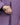 Close-up of water-resistant main zipper pull on purple Mammut women's ski jacket shell material